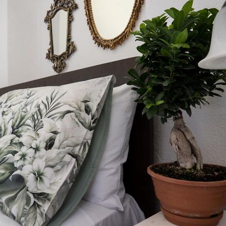 Santa Cruz Country Cottage Kallithea  ภายนอก รูปภาพ