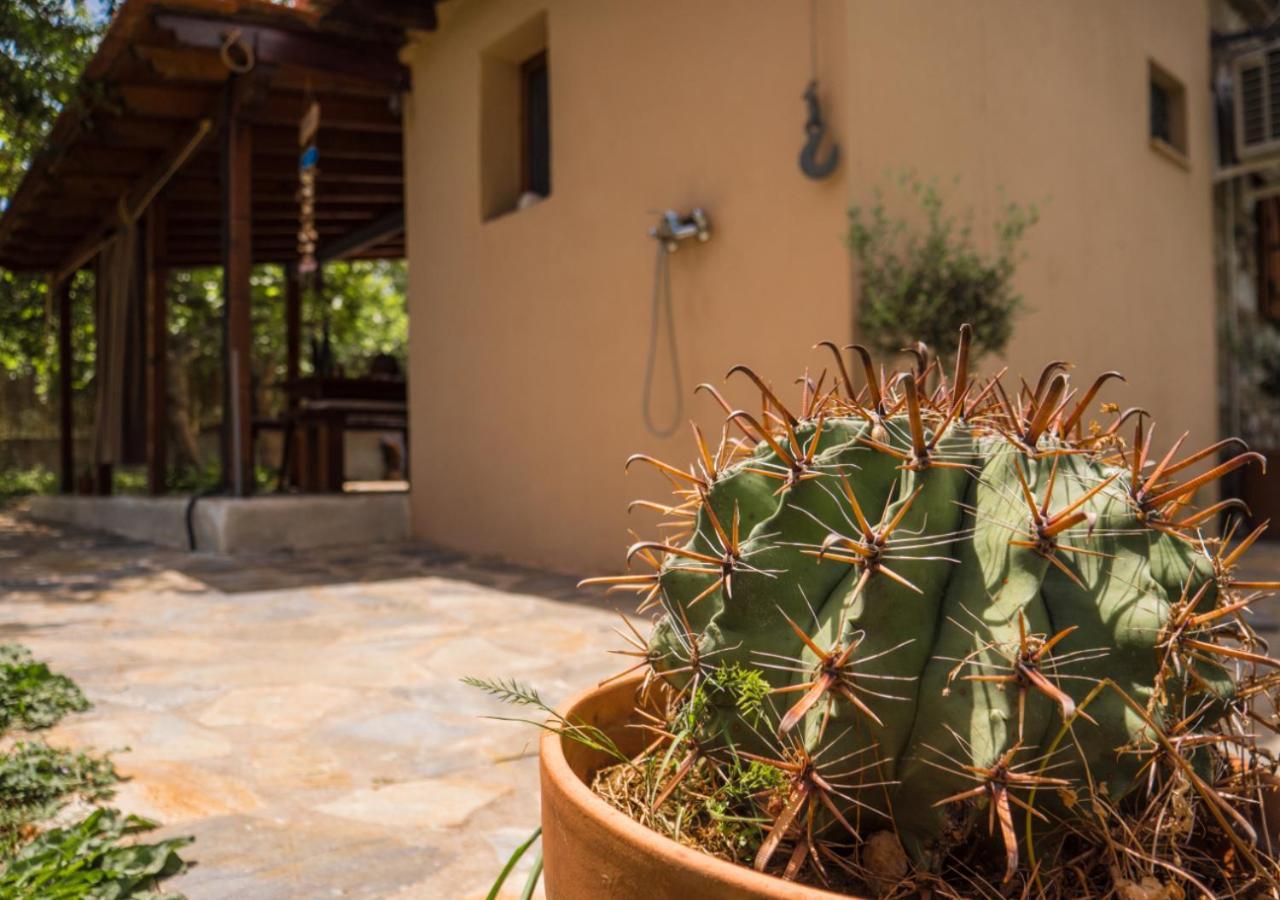 Santa Cruz Country Cottage Kallithea  ภายนอก รูปภาพ