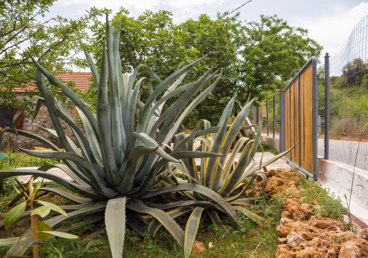 Santa Cruz Country Cottage Kallithea  ภายนอก รูปภาพ