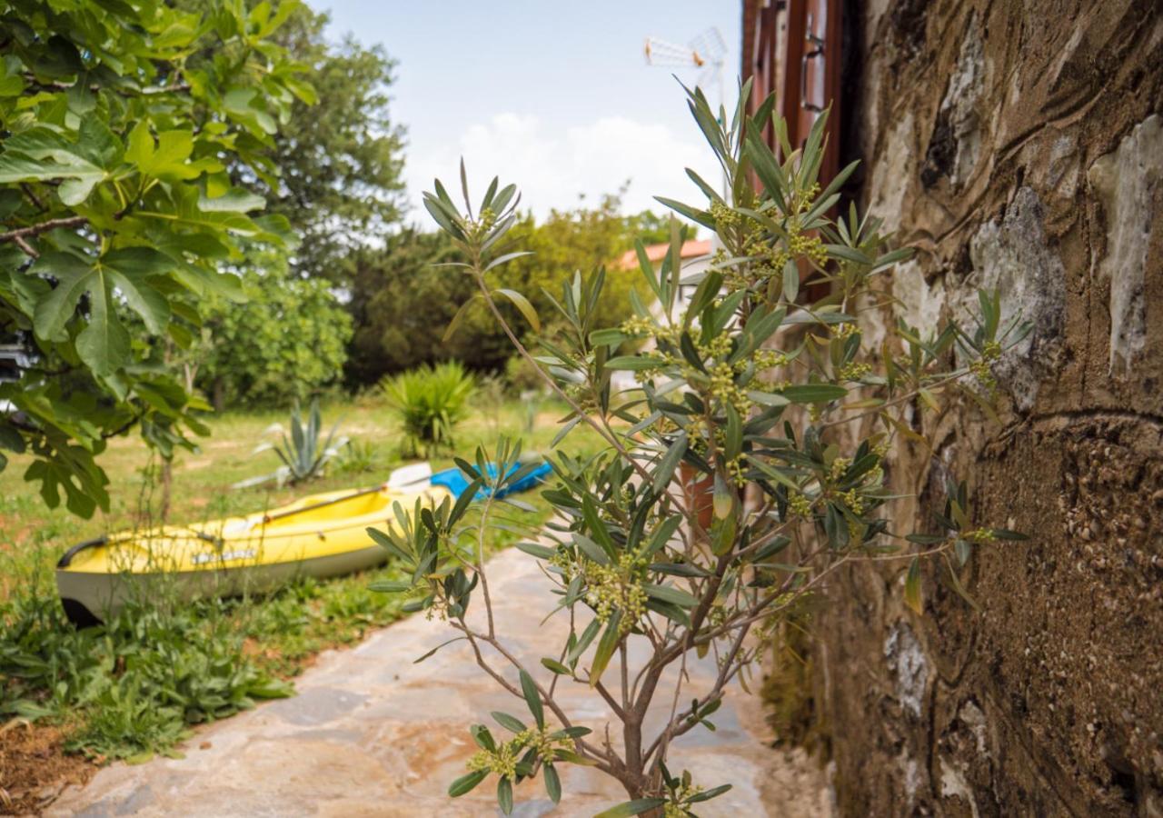 Santa Cruz Country Cottage Kallithea  ภายนอก รูปภาพ