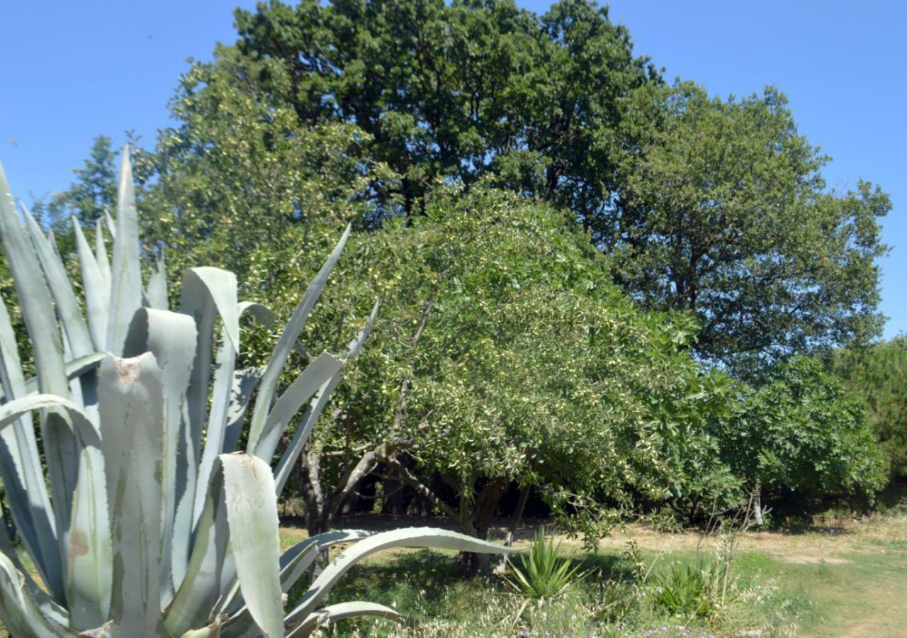 Santa Cruz Country Cottage Kallithea  ภายนอก รูปภาพ