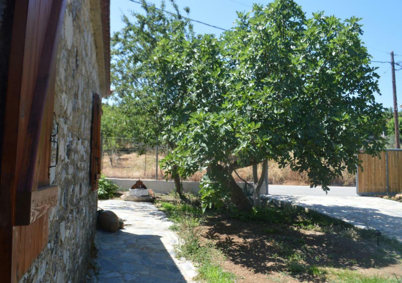 Santa Cruz Country Cottage Kallithea  ภายนอก รูปภาพ